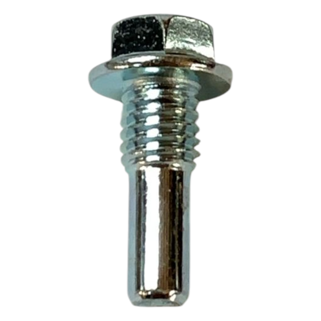 WhatsApp Image 2026-05-22 at 17.04.34 (2) BULON RUEDITA DISTRIBUCION 110 CORTO - Imagen 1