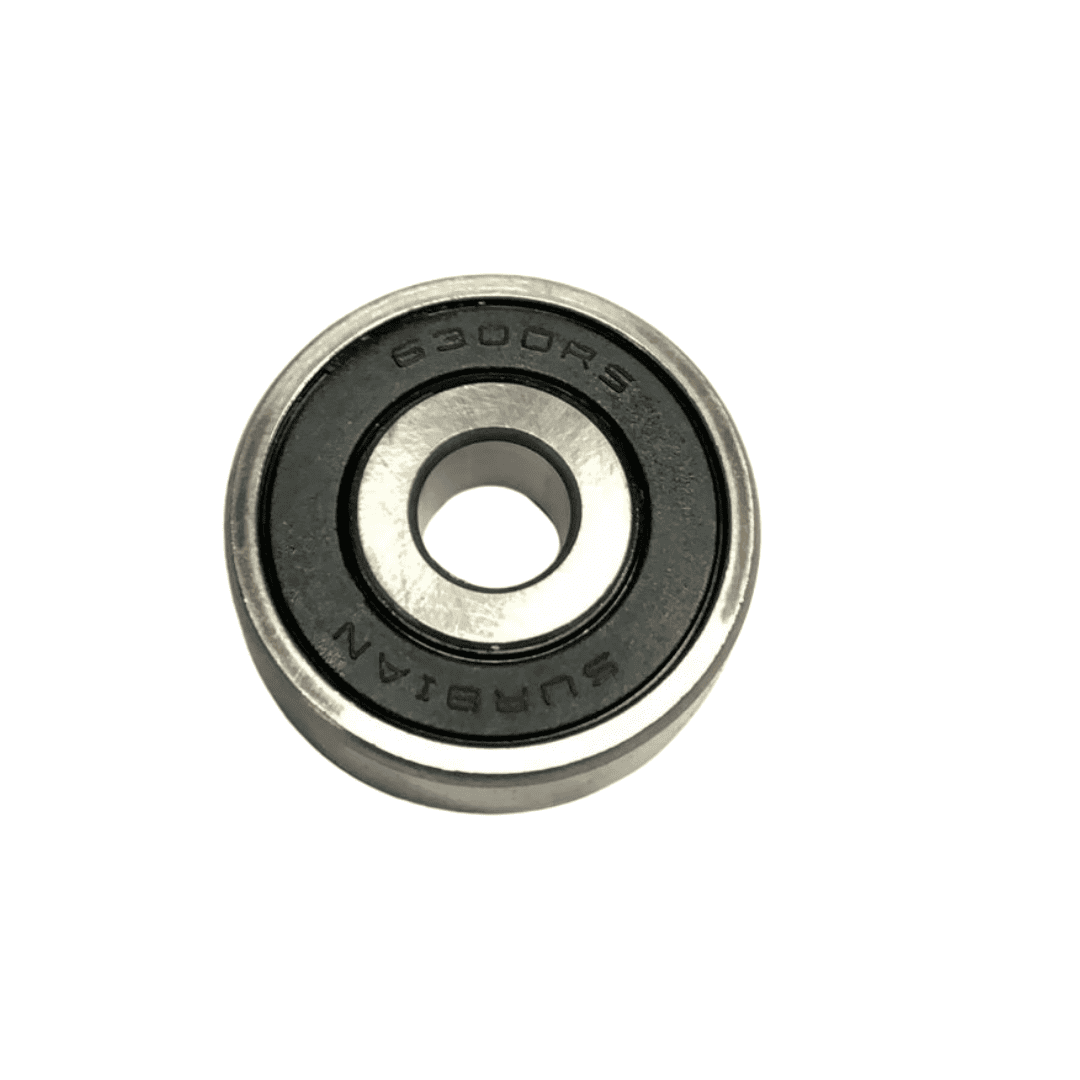 CH2650 RULEMAN 6300 2RS CHINO - Imagen 1